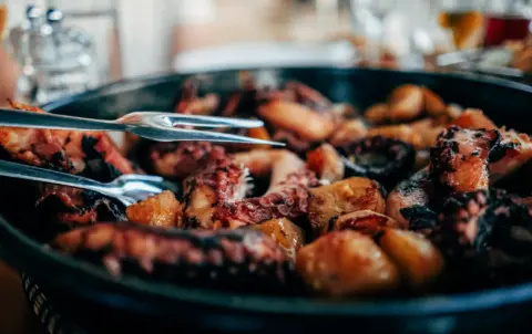 Pulpo