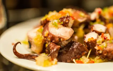 Pulpo